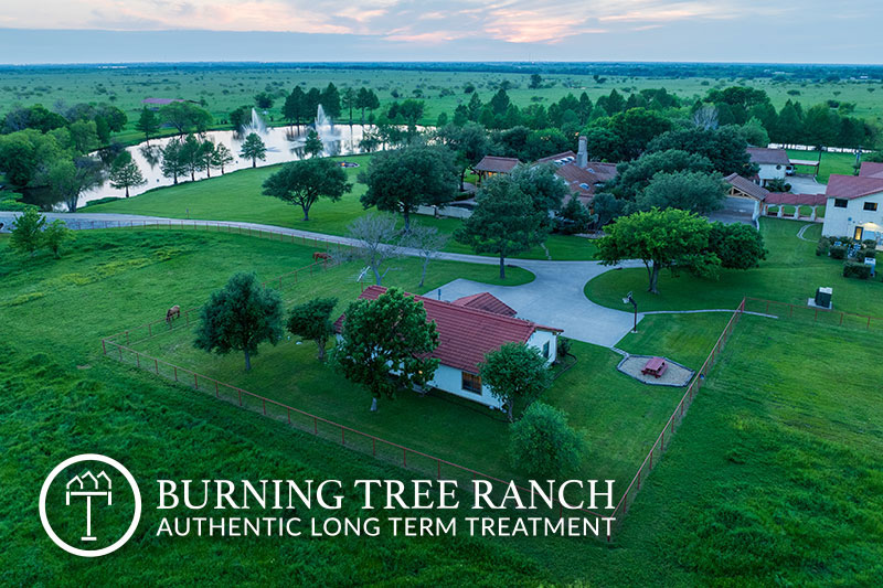 Burning Tree Ranch - 사진 6