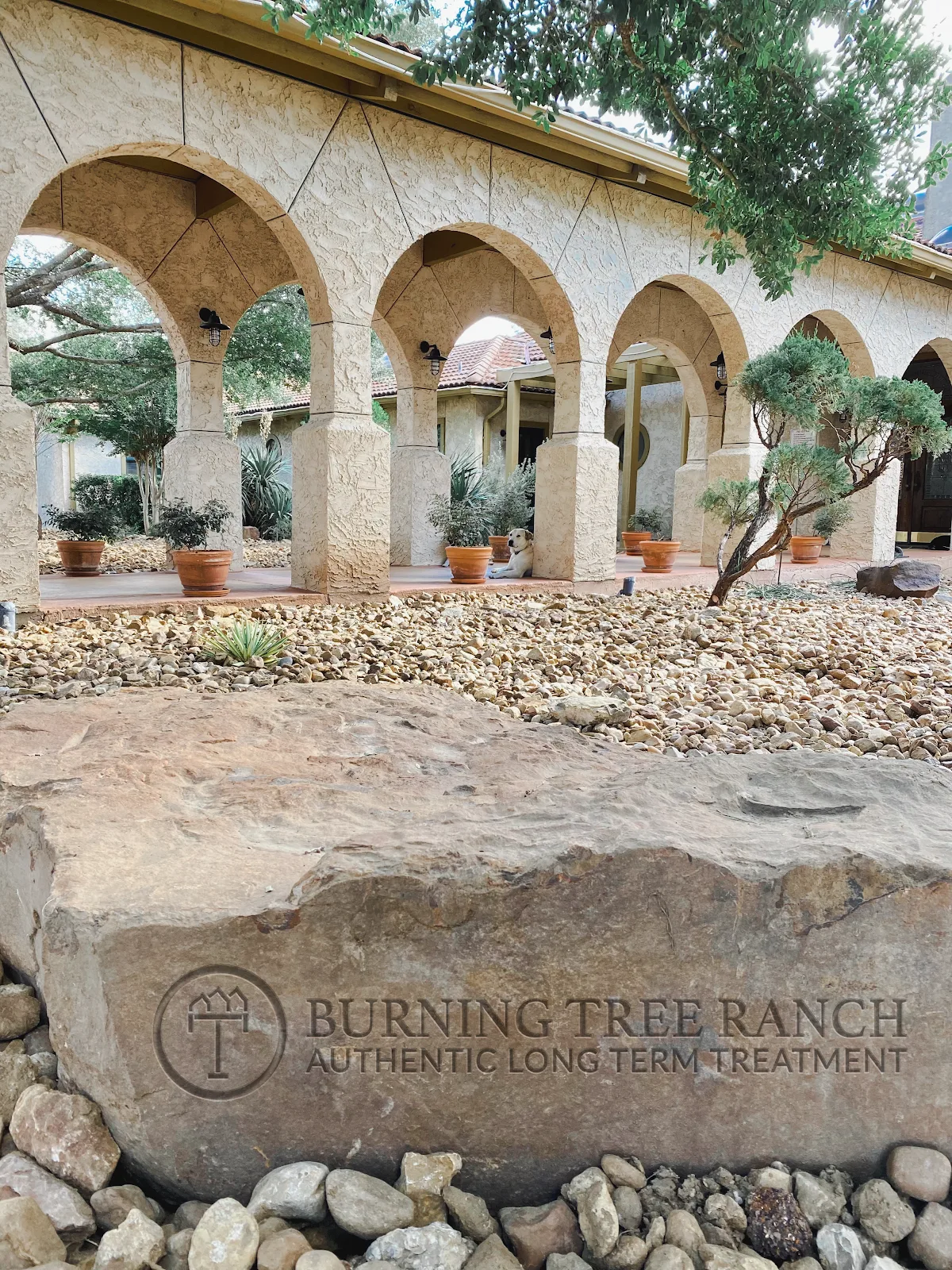 Burning Tree Ranch - 사진 5