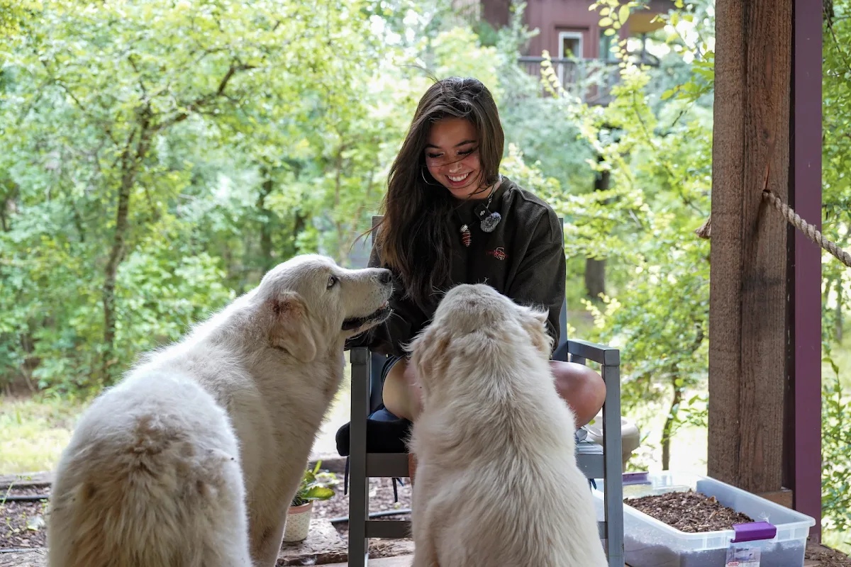 Eating Disorder Solutions - Ảnh 5