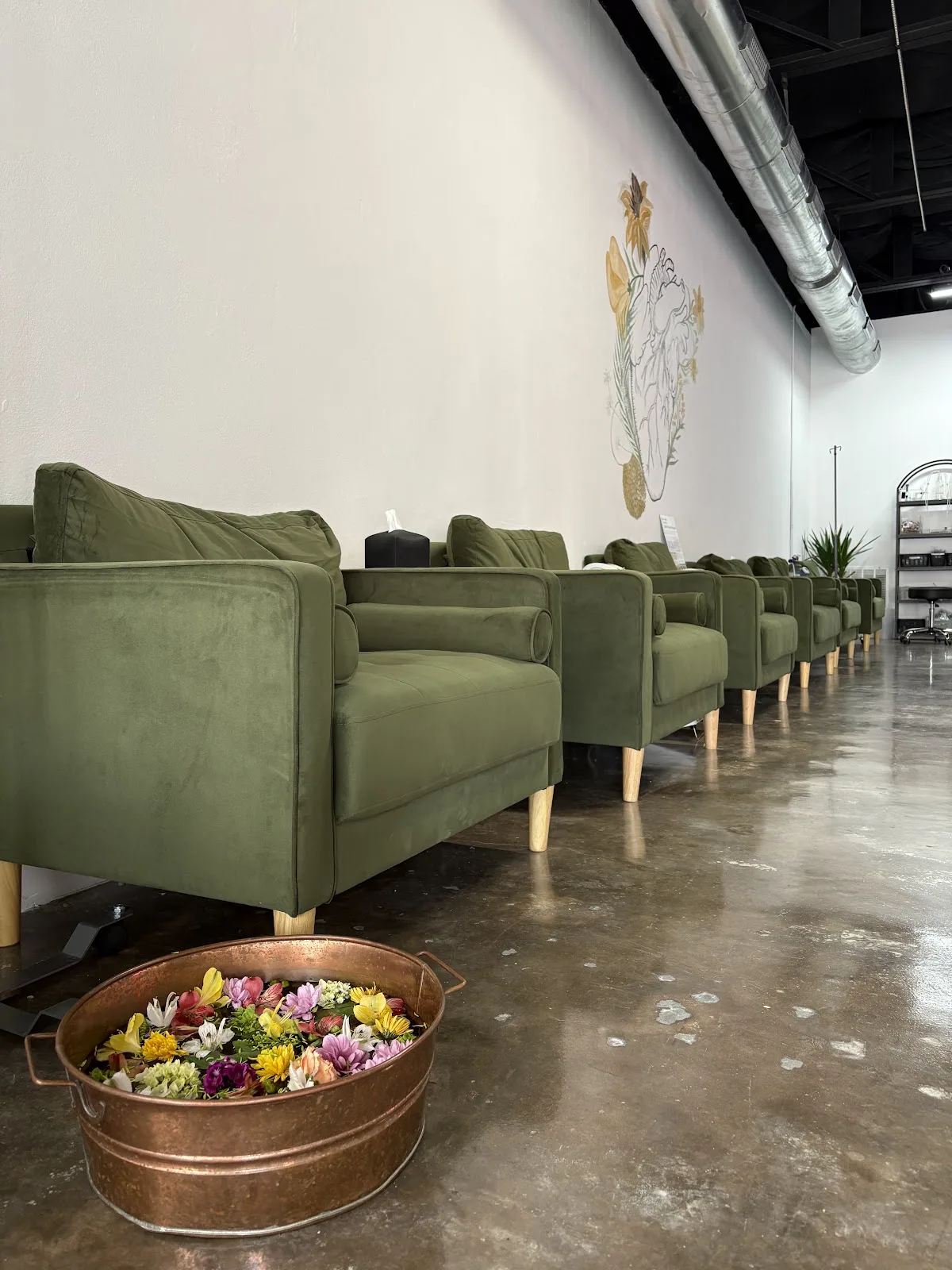 The Canary Community - 照片 3