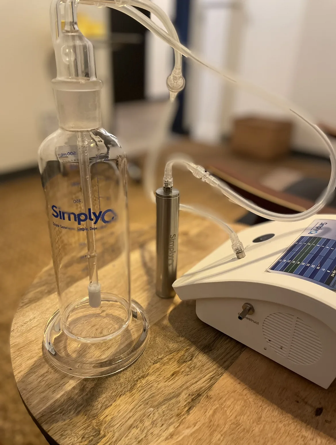 The Canary Community - 照片 4