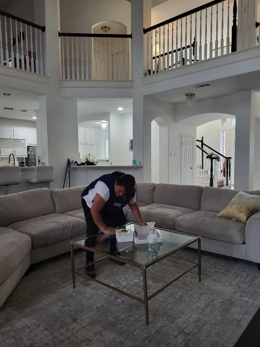 Detox Cleaning Service - interior photo