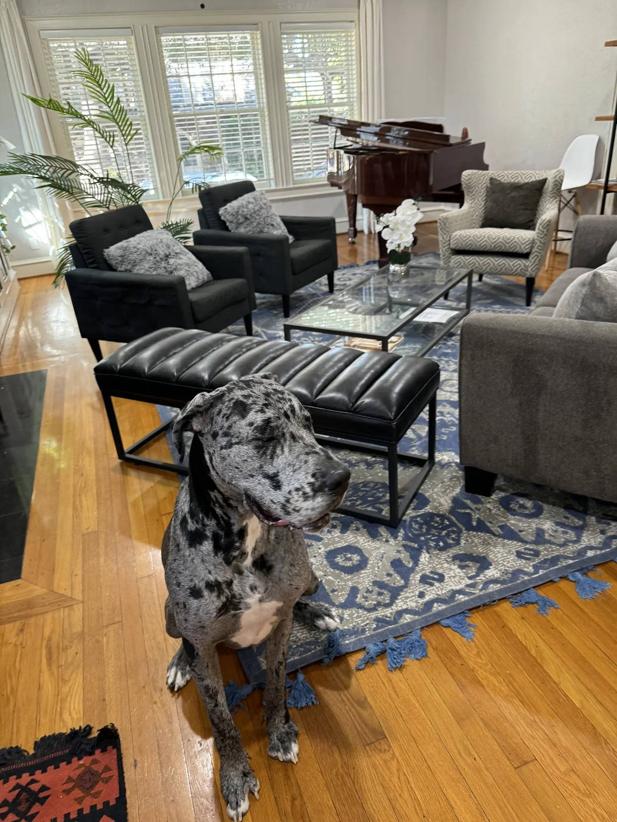 Sober Coaching Dallas RECO - Photo 3