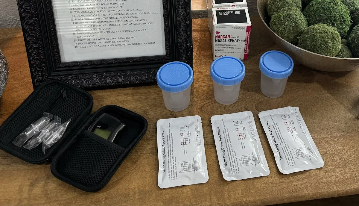 Sober Coaching Dallas RECO - Photo 4