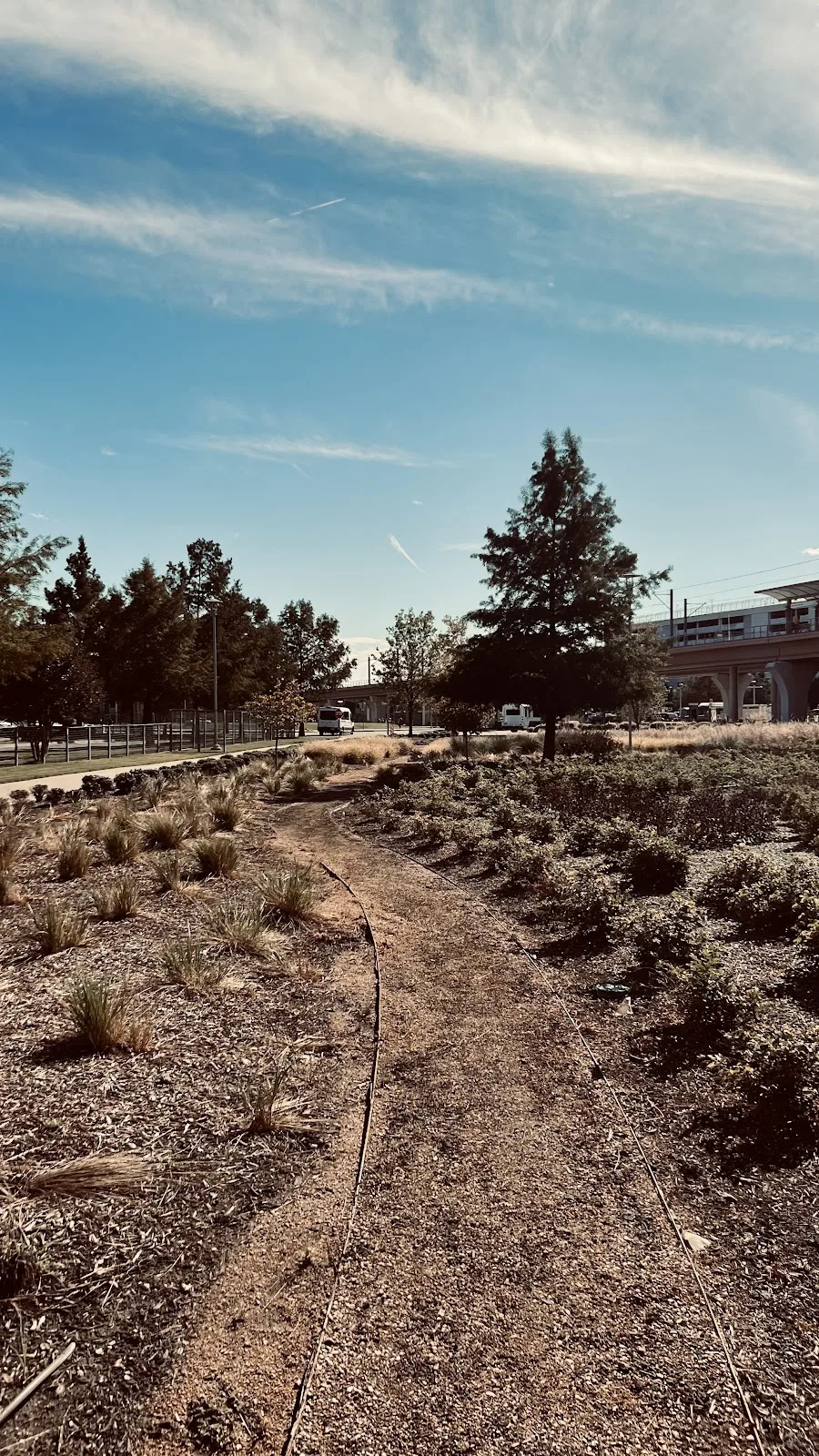 Moody Outpatient Center at Parkland Health - 照片 4