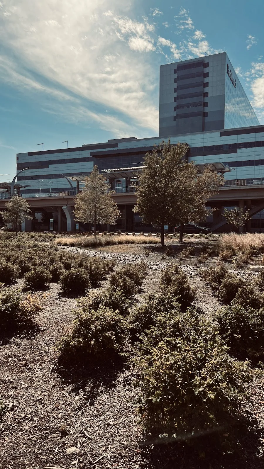 Moody Outpatient Center at Parkland Health - 照片 5