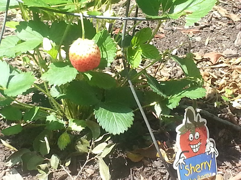 Oxford House North Park - Foto 4