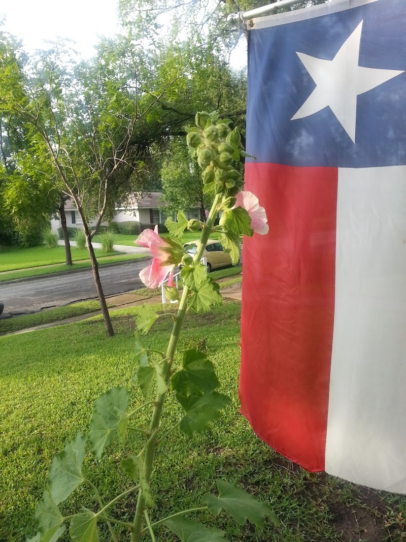 Oxford House North Park - Foto 5